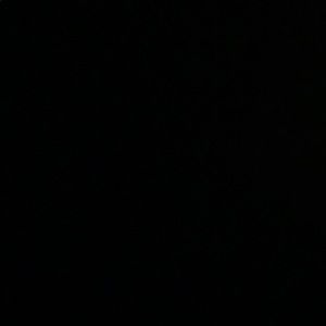 Meet your Posher, Laila